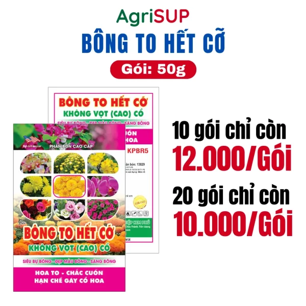 Bông to hết cỡ 50g - Hình ảnh 3