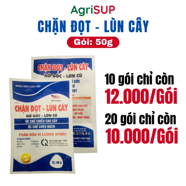 Chặn đọt - Lùn cây 50g - Hình ảnh 3