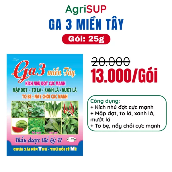 Ga3 miền tây 25g