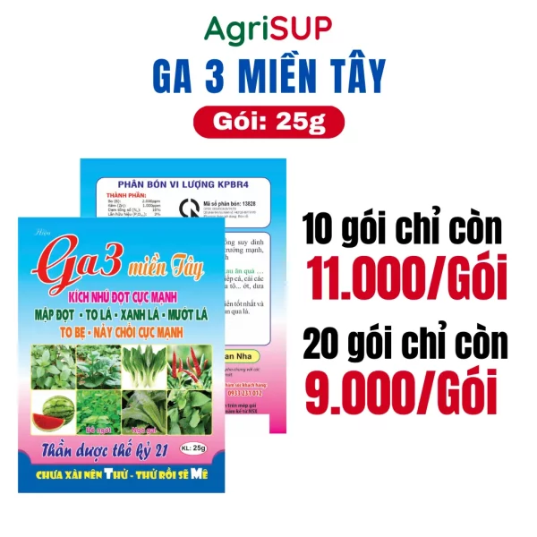Ga3 miền tây 25g - Hình ảnh 3
