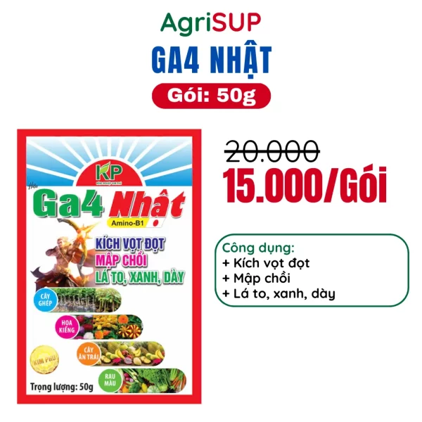 Ga4 Nhật 50g