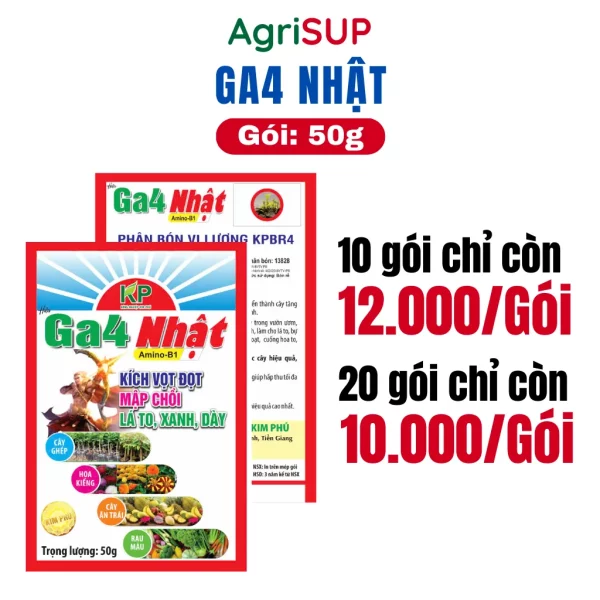 Ga4 Nhật 50g - Hình ảnh 3