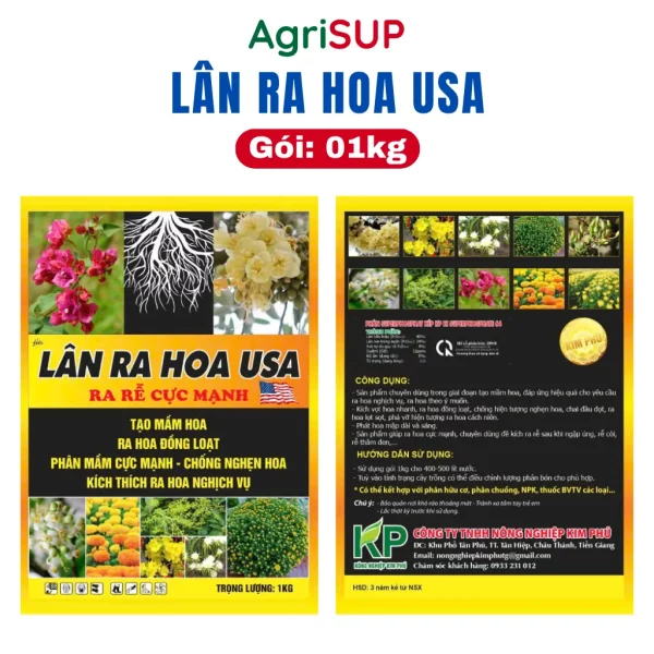 Lân ra hoa USA 1kg - Hình ảnh 4