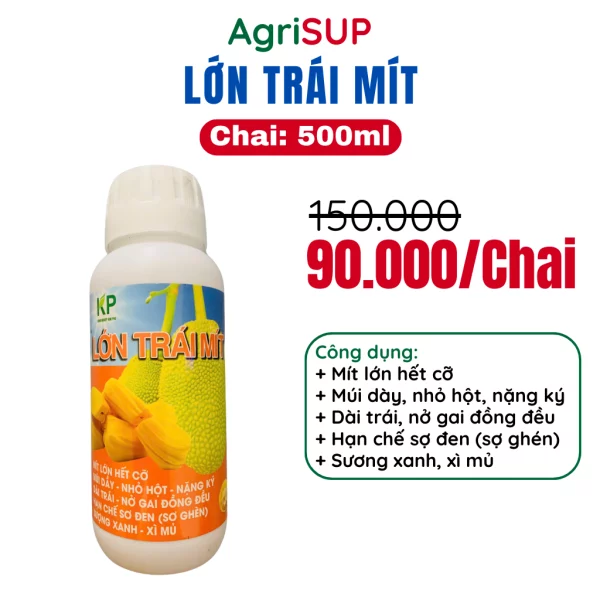 Lớn trái mít 500ml