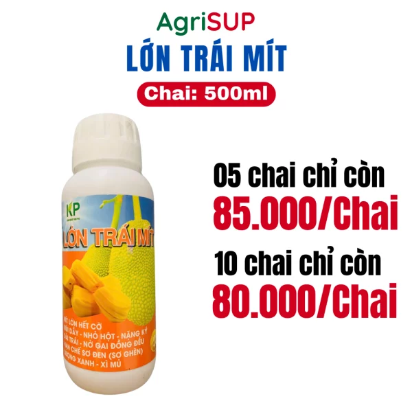 Lớn trái mít 500ml - Hình ảnh 3