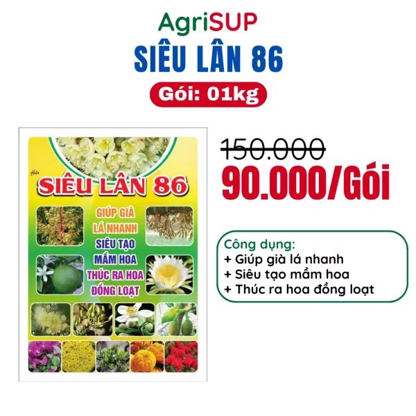 Siêu lân 86 1kg