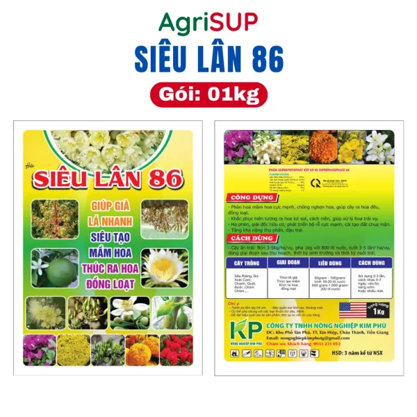 Siêu lân 86 1kg - Hình ảnh 4