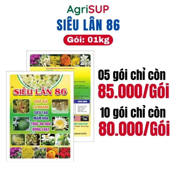 Siêu lân 86 1kg - Hình ảnh 3