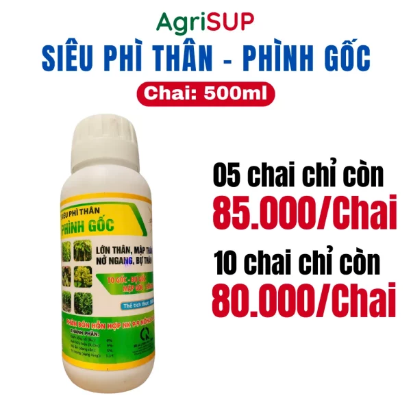 Siêu phì thân phình gốc 500ml - Hình ảnh 3
