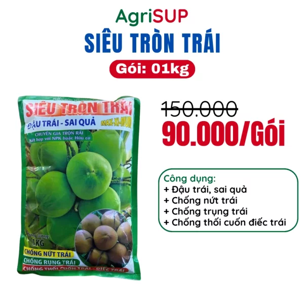 Siêu tròn trái dừa 1kg