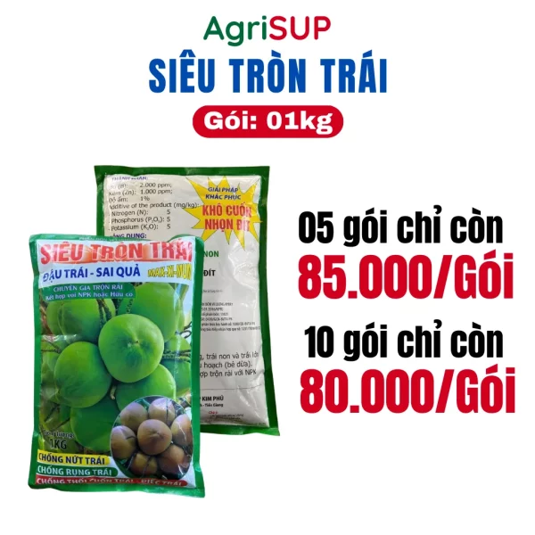 Siêu tròn trái dừa 1kg - Hình ảnh 3