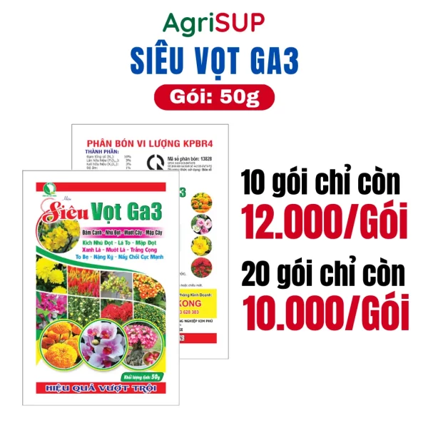 Siêu vọt Ga3 50g - Hình ảnh 3