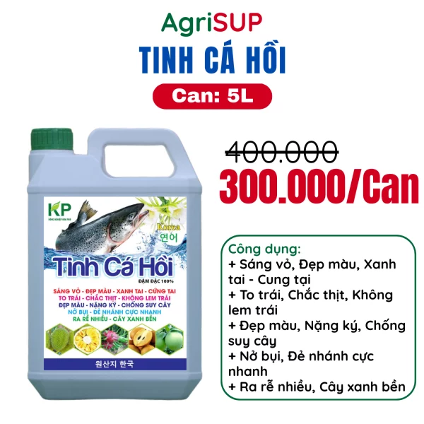 Tinh cá hồi 5L