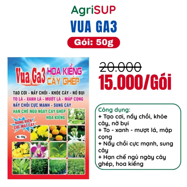 Vua Ga3 50g