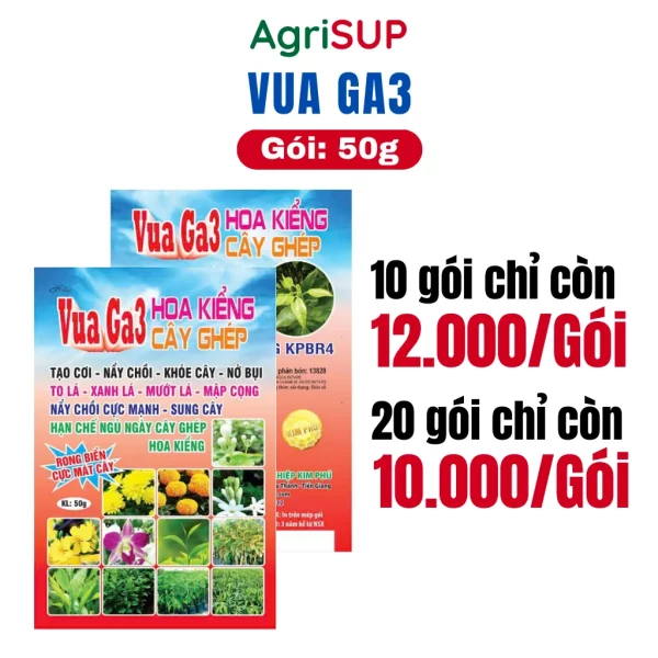 Vua Ga3 50g - Hình ảnh 3