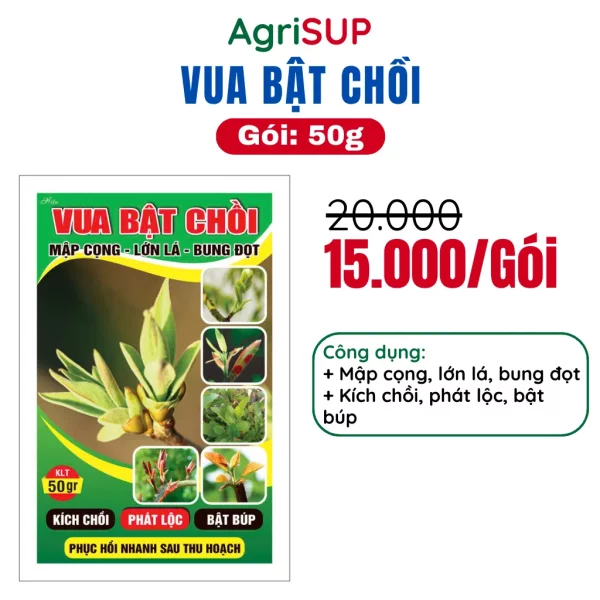 Vua bật chồi 50g