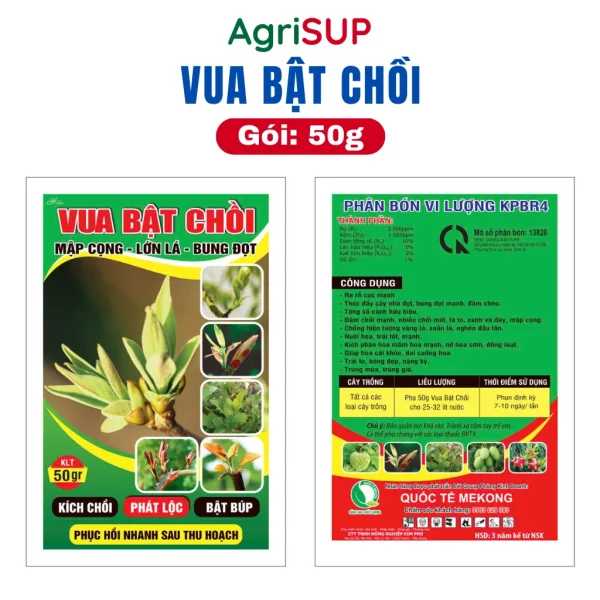 Vua bật chồi 50g - Hình ảnh 4