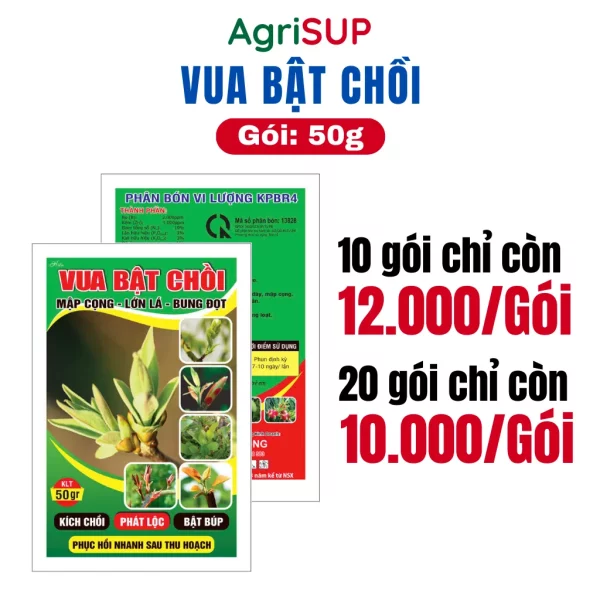 Vua bật chồi 50g - Hình ảnh 3
