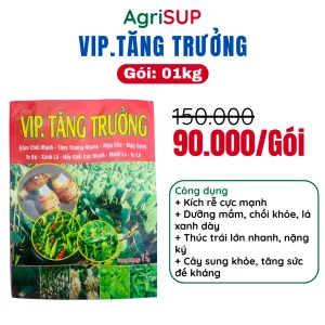 VIP Tăng trưởng gói 1kg